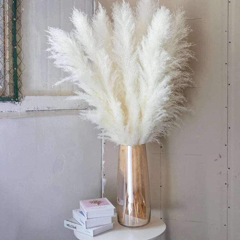 Large Dried Pampas Grass Plume | Boho Decor — view 8
