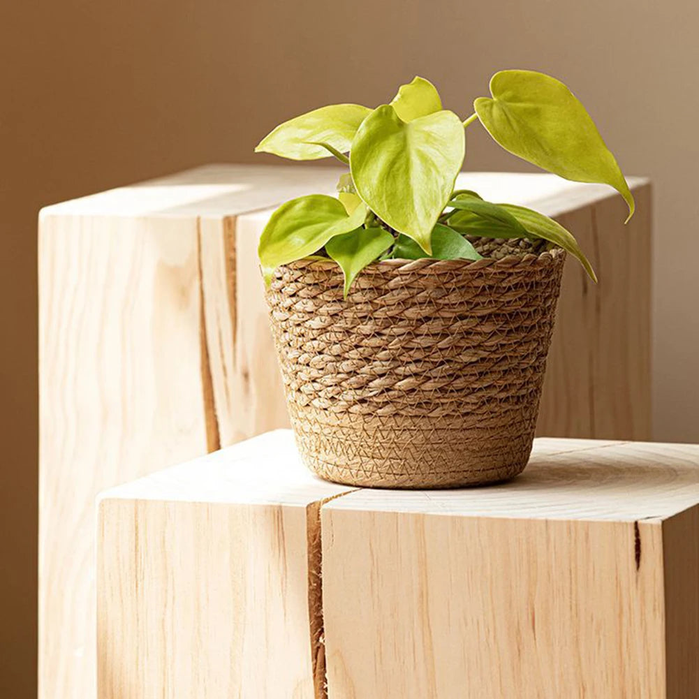 Handwoven Seagrass Desktop Flower Pot Holder — view 4