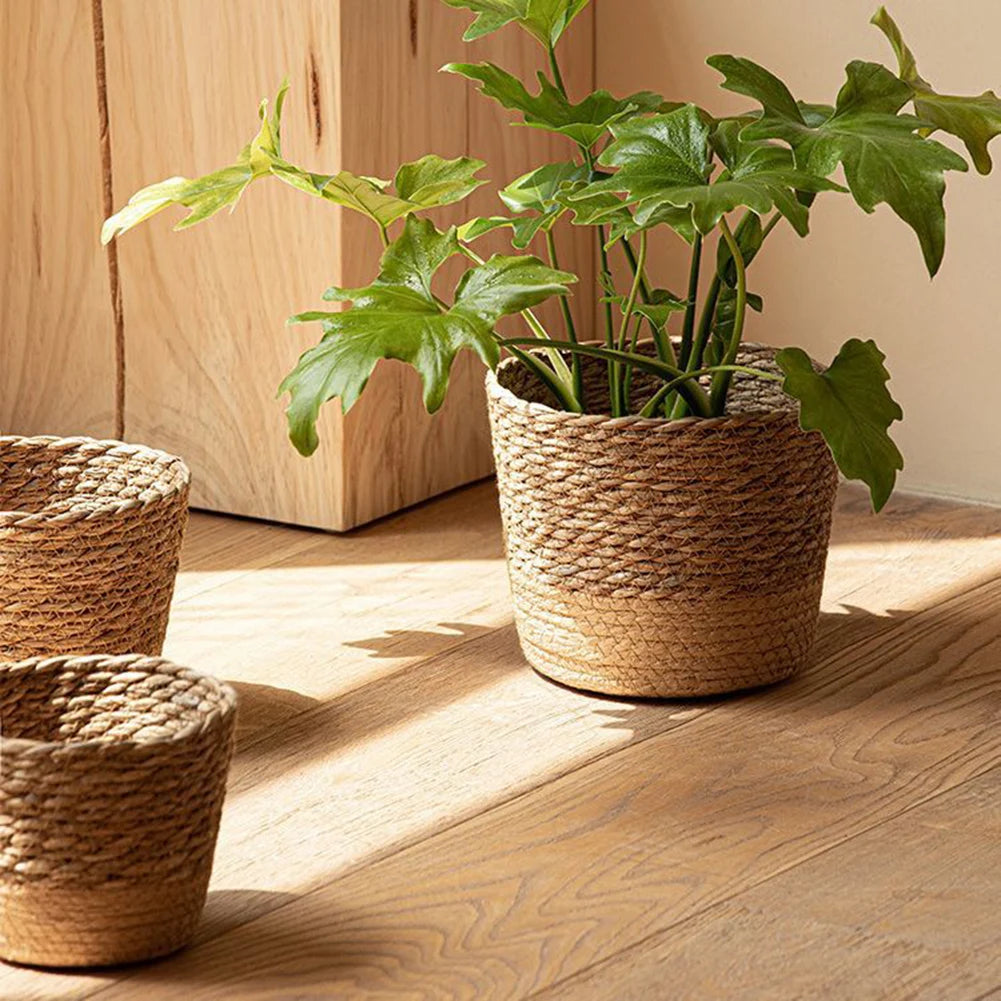 Handwoven Seagrass Desktop Flower Pot Holder — view 3
