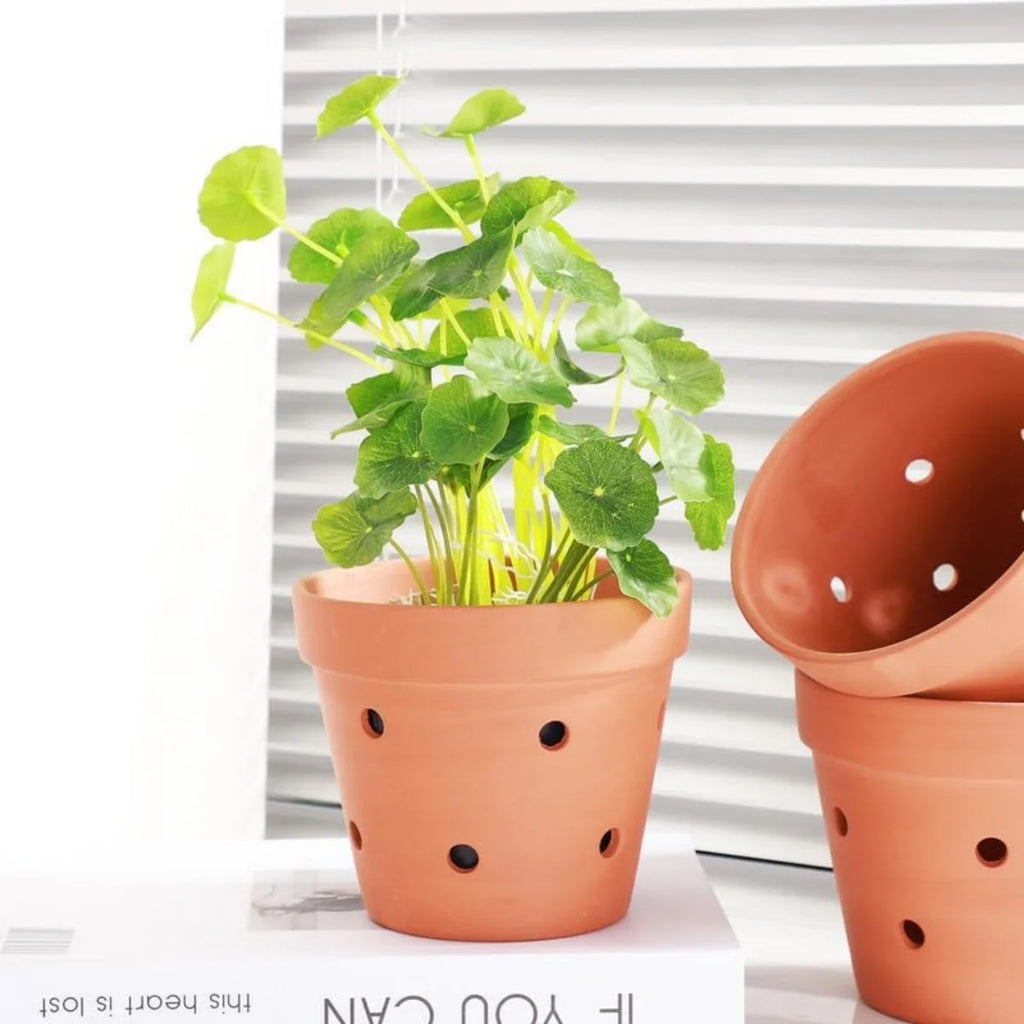 Terracotta Orchid Pots in Natural Clay — 8 Pcs — view 3