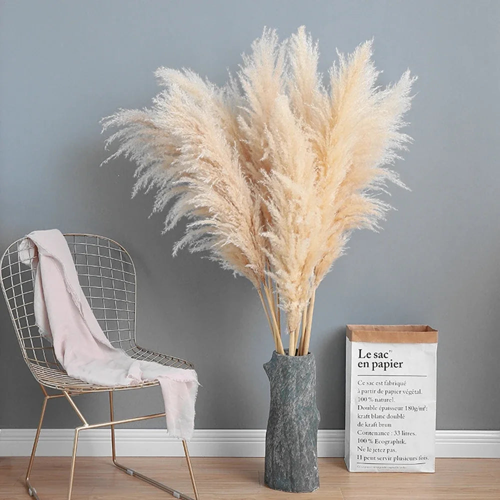 Large Dried Pampas Grass Plume | Boho Decor — view 7