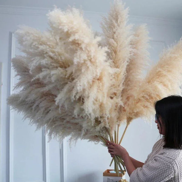 Large Dried Pampas Grass Plume | Boho Decor