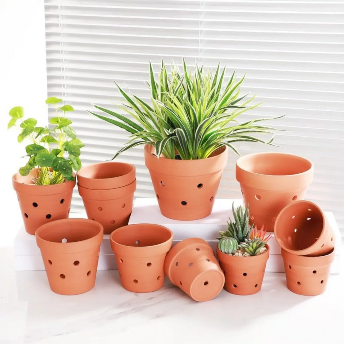 Terracotta Orchid Pots in Natural Clay — 8 Pcs