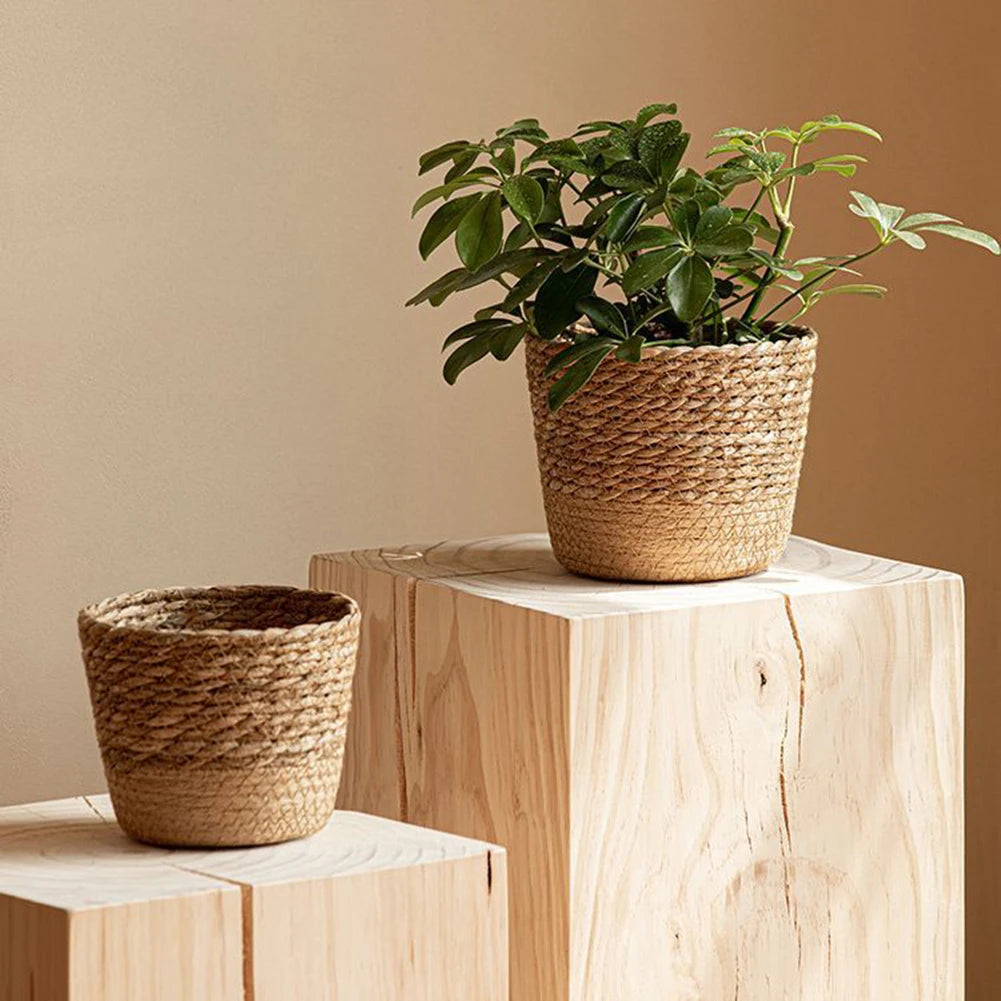 Handwoven Seagrass Desktop Flower Pot Holder — view 2