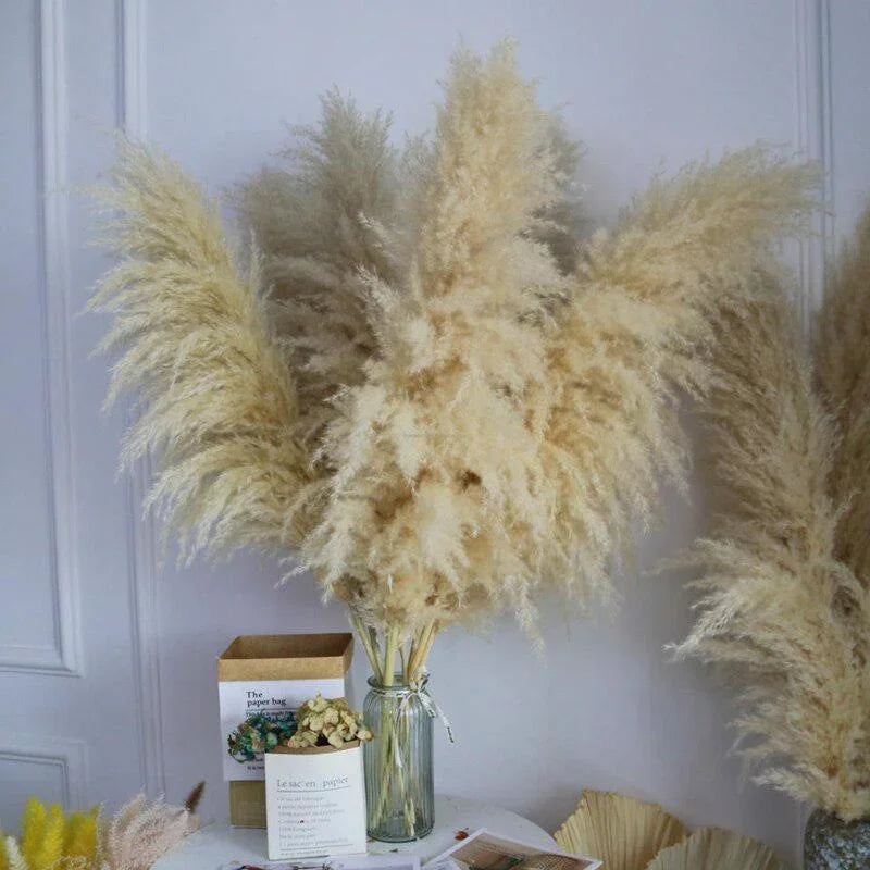 Large Dried Pampas Grass Plume | Boho Decor — view 2